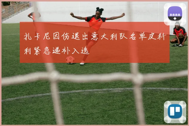 扎卡尼因伤退出意大利队名单皮科利紧急递补入选