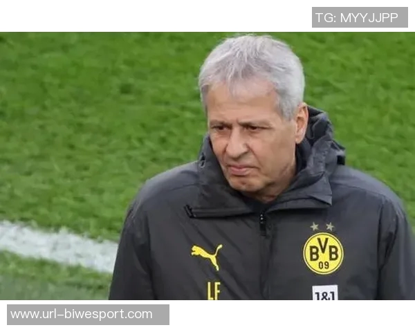 哈曼称多特蒙德中场选择丰富上场球员均能发挥重要作用